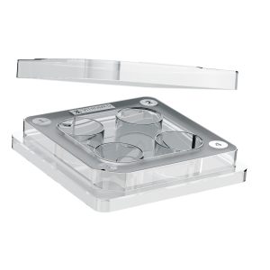NEU_MultiWell_Dish_alpha_2