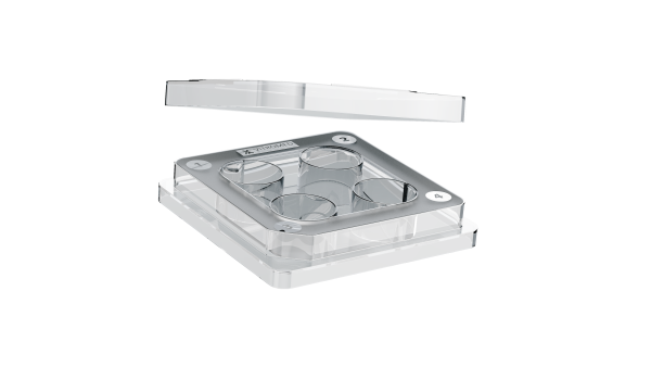 NEU_MultiWell_Dish_alpha_2