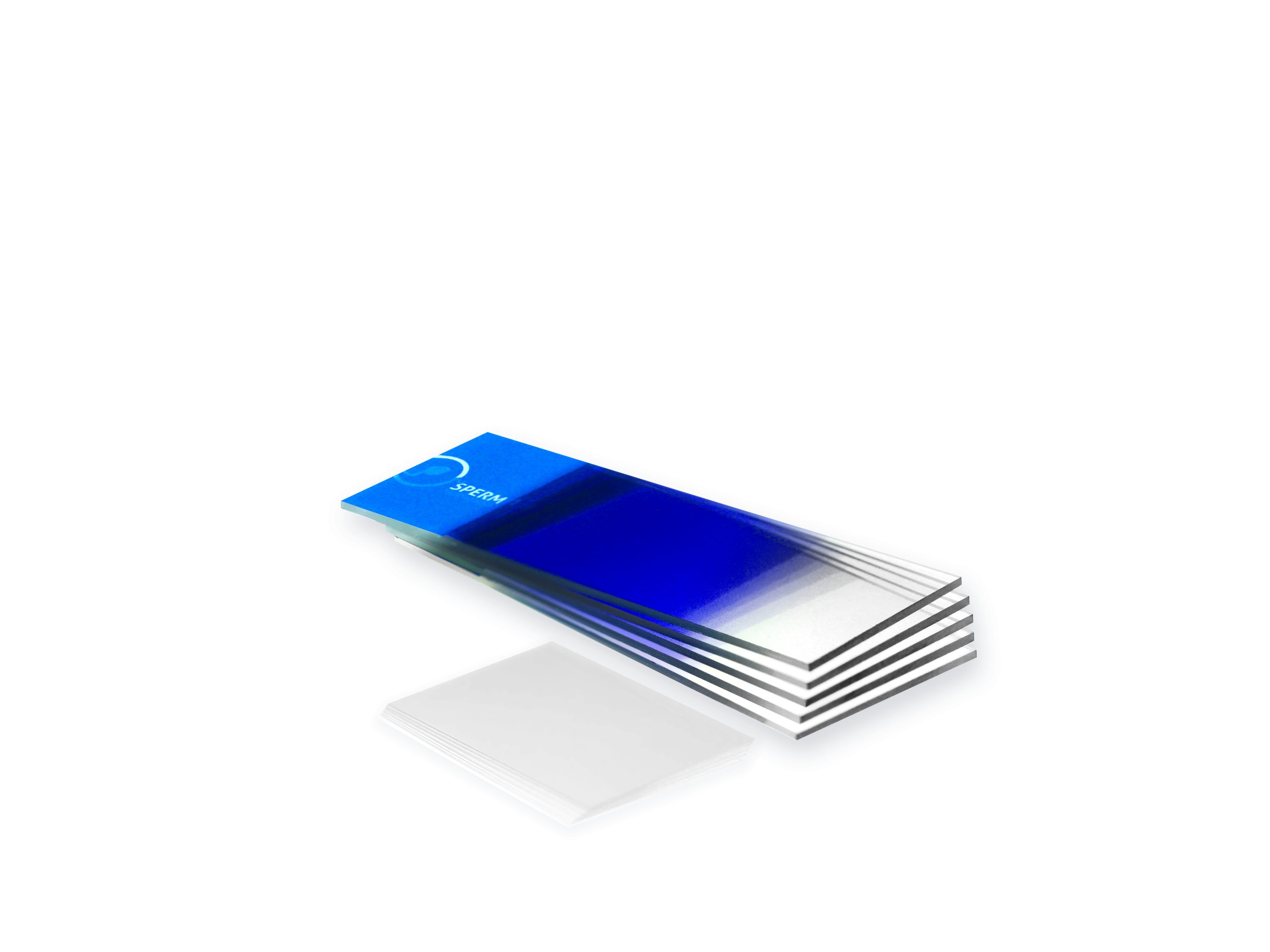 Copy of morphoslide-cmyk
